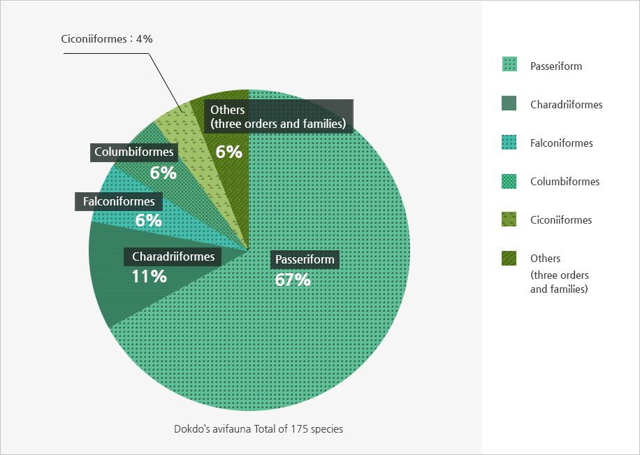 Proportion of Orders of Birds Seen on Dokdo