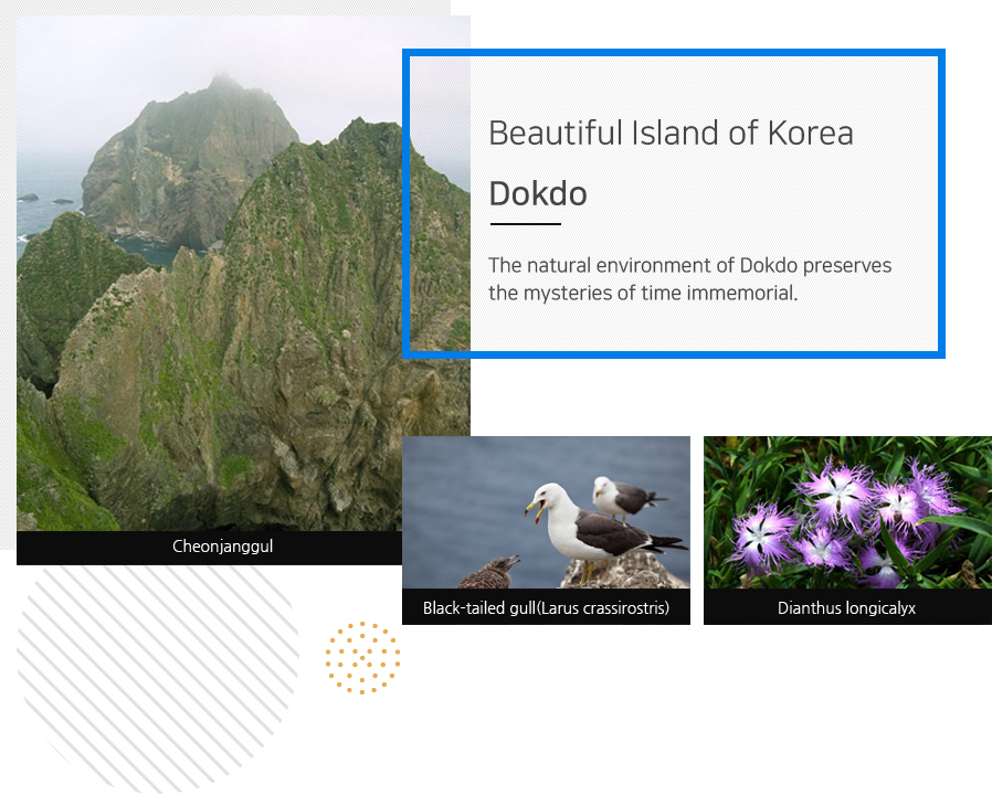 The natural environment of Dokdo preserves the mysteries of time immemorial. Dokdo, Beautiful Island of Korea Sources: Ulleungdo and Dokdo Management Office