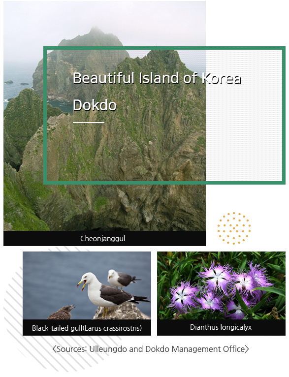 The natural environment of Dokdo preserves the mysteries of time immemorial. Dokdo, Beautiful Island of Korea Sources: Ulleungdo and Dokdo Management Office