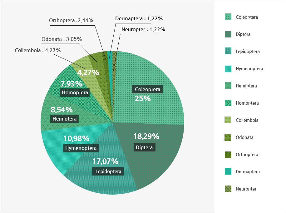 Dokdo’s insects / Total of 134 species / Coleoptera / Diptera / Lepidoptera / Hymenoptera / Hemiptera / Homoptera / Collembola / Odonata / Orthoptera / Dermaptera / Neuroptera.Sources: Daegu Local Ministry of Environment, 2013; Gyeongsangbukdo, 2010, Dokdo Series